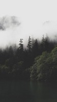 descargar wallpaper de Naturaleza